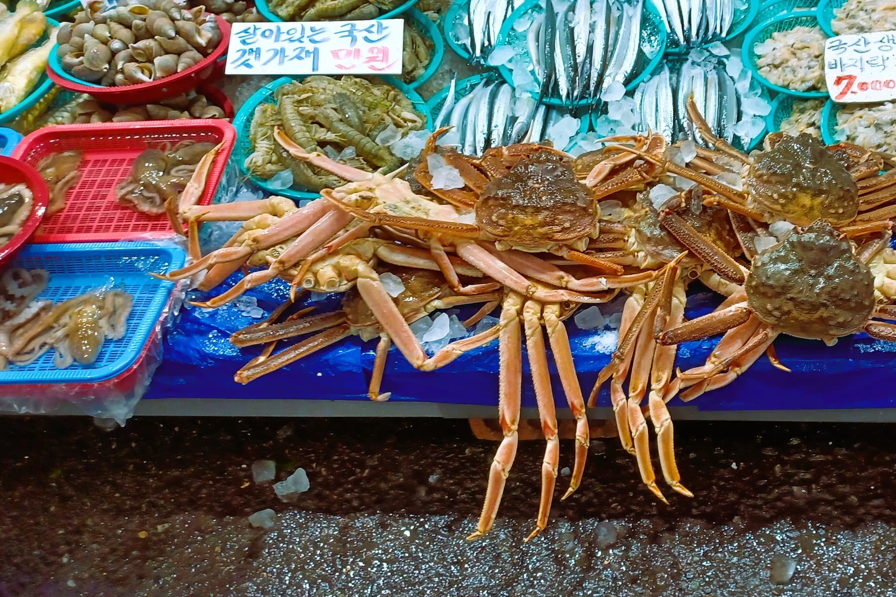 Snow crabs on ice beside baskets of shellfish at a market stall