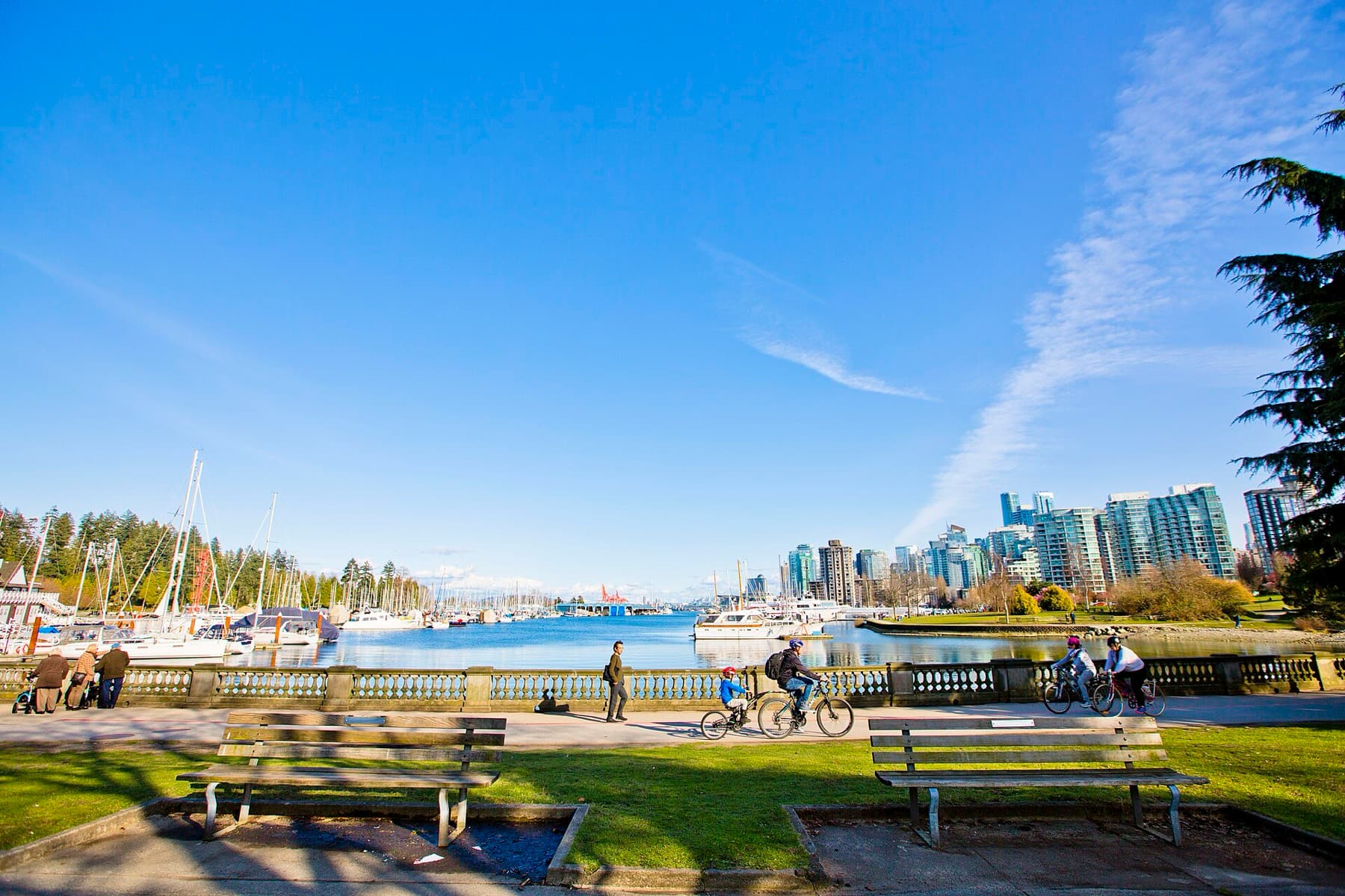 Stanley Park seawall